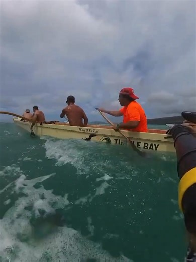 111K views · 2.4K reactions | Lorrin "Whitey" Harrison is one of...