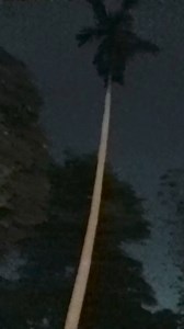 11K views · 35 reactions | Night view | Spy hidden cemera | Facebook