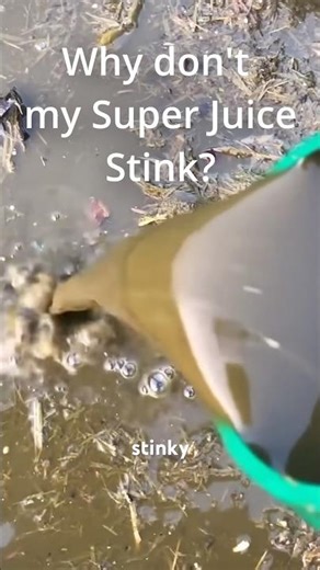 "No-Stink" Super Juice/weed tea: