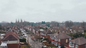 1K views · 26 reactions | The Bee Network is a revolutionary plan to...