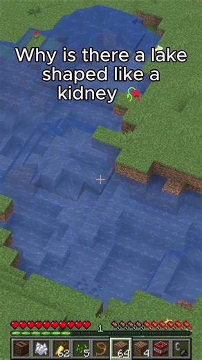 Finding A Lake That Doesnt Exist 😰 #minecraft #minecraftbuilding #roblox #brainrot #minecraftpe #arg