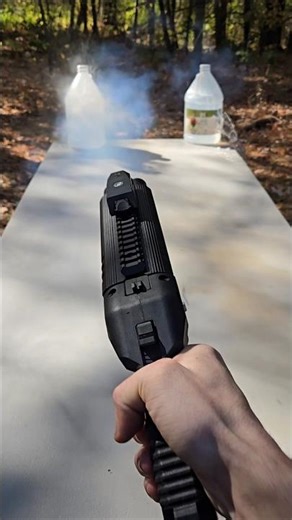 Air-Pistol Magnum Slug\\Birdshot