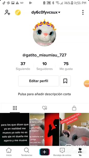Tutorial: Cómo eliminar videos en TikTok y de grupos en la app