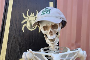 Check out this "shriek peek" of Boo at the Zoo, Reid Park Zoo's delightful, not too frightful, Halloween event presented by OneAZ Credit Union. Opening weekend begins Friday, October 18 with timed entries starting at 6 p.m. Tickets must be purchased in advance - pick up yours today: https://reidparkzoo.org/event/boo-at-the-zoo-2024/ | Reid Park Zoo