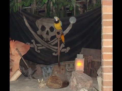 DIY Treasure chest Pirates of the Caribbean ride replica -POTC Pallet wood pirate party project