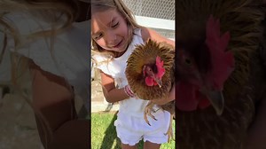 Little one scared of chickens, hilariously