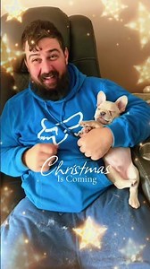 Such a fun day #better #life #animals #puppy #training