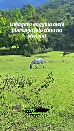 😂#pakkinyarengamparita #pakkinyarengkampongtimoreng #pakkinyarengsidrap #pakkinyarangbone🇮🇩🐎 #pakkinyarengsoppeng🐎 @laoga iyya
