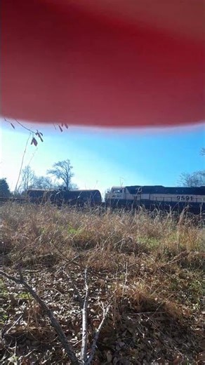 tried to catch CN w Executive MAC On BNSF Train In Yard