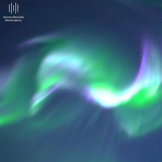 65K views · 3.1K reactions | Love these colorful ones 朗朗 | Aurora Borealis Observatory | Facebook