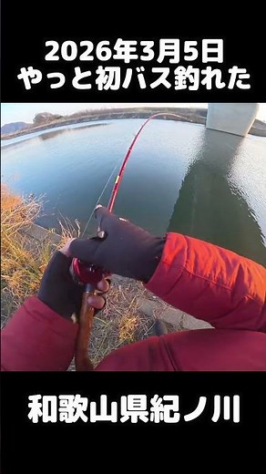 Masugen's first bass of 2026 in Kinokawa River