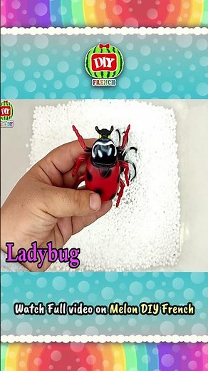 Spider, Ladybug 🕸 Araignée, Coccinelle 🐞