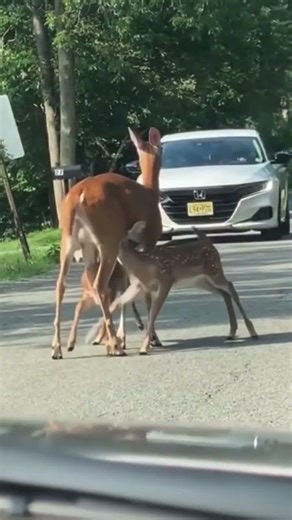 Small content creators sound