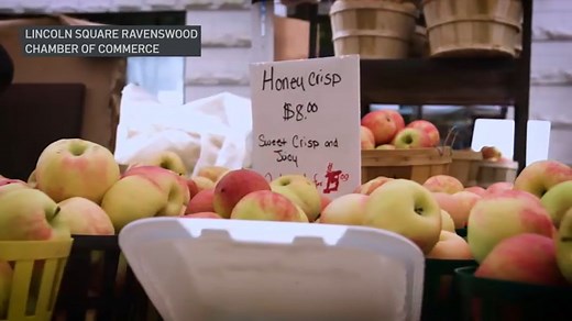 Things to do in and around Chicago this weekend: Apple fest, beer fest and more