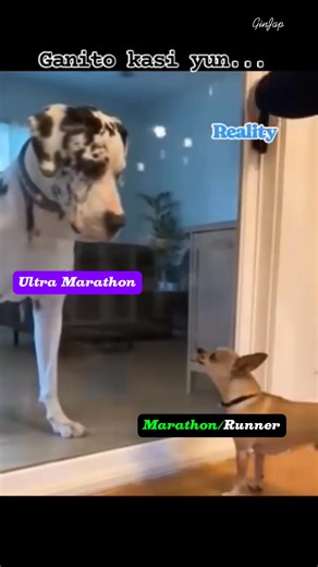 46 reactions · 25 comments | An ultramarathon is a footrace longer than the traditional marathon distance of 42.195 kilometres (26 mi 385 yd). The sport of running ultramarathons is called ultra running or ultra distance running. Various distances, surfaces, and formats are raced competitively… by: wikipedia.org #ultramarathon #marathon #running | Japhet Lat | Facebook