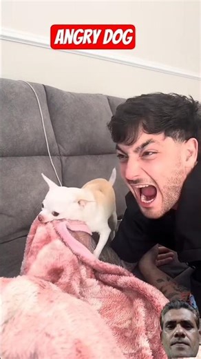 Angry dog#funny #viral #comedy #foryou #shorts #ytshorts