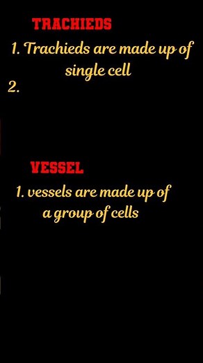 Difference between xylem trachieds and vessels l Xylem l Vascular tissue । #biology