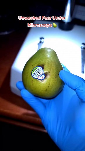 Exploring an Unwashed Pear Under a Microscope