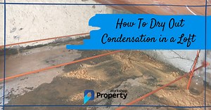 How To Dry Out Condensation In A Loft In 6 Easy Steps (DIY)