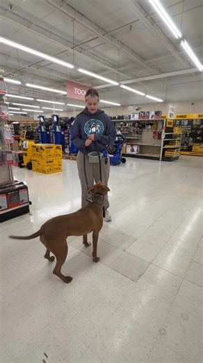 4.6K views · 72 reactions | Adventure Camp success!  Judson showing off his training skills at Farm King  | Wilson's Dog Training | Facebook