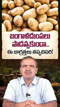 బంగాళదుంపలు పాడవ్వకుండా.. ఈ జాగ్రత్తలు తప్పనిసరి! | How to Store Potatoes Properly |DR Vardhan