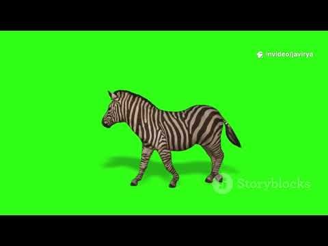 A-Z Animal Party! Learn ABC FAST!