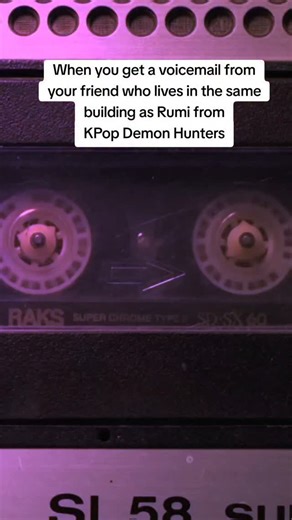 Jacob Rice on Instagram: "Plus I'm pretty sure those are exotic animals and you need a permit for that. #kpopdemonhunters #kpopfunny #movieparody #rumi #kpopdemonhuntersrumi"