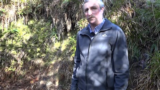 111K views · 1.4K reactions | Dugout from War of Independence/Civil...