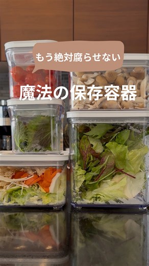 最近買った中で1番大ヒット VAKUENの真空保存容器✨ これで、野菜も果物も新鮮なまま保存出来ちゃう🥦 お菓子も湿気なくて長持ち💁‍♀️ 特許技術で水を入れてひっくり返しても、漏れない容器🫙 まとめ買い派の私もこれで 野菜をダメにしなくなったよ✌️ 保存容器にしては高値だけど 作りもとってもしっかりしていて ロス食材も無くなって得した気分☺️ Instagramのプロフィールの楽天ルームから【保存容器】って検索してみてね🔍 #楽家事#保存容器#ズボラ#便利グッズ