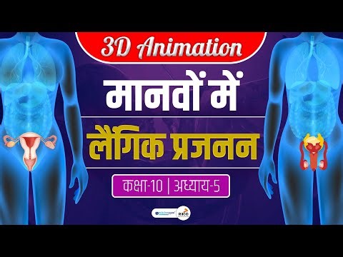 Sexual Reproduction in Human 3D Animation | Class 10 Sexual Reproduction in Human