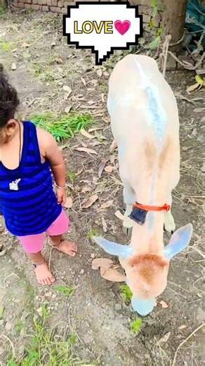 😘bachpan😙 #viral #short video