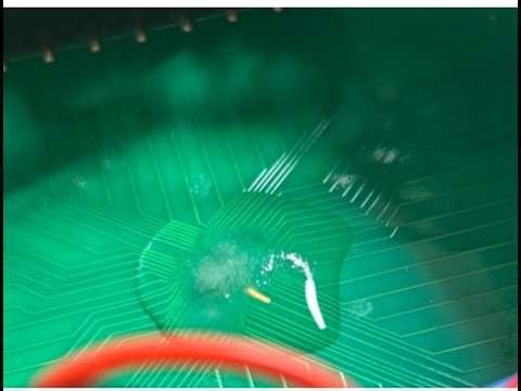 Electrophysiological fungal spikes (Hericium)