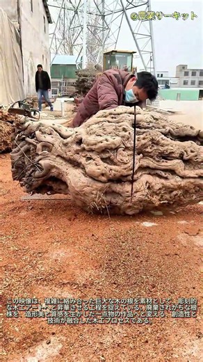 ゴツゴツした木の根を見事な木工アートに変える：根の彫刻のプロセス 木工の驚くべき変貌