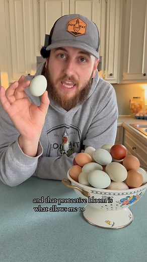 104K views · 57K reactions | Let’s talk about egg washing. We wash our eggs with @goodeggstuff . It’s an all natural enzyme wash free of all harsh chemicals. The good egg brush comes with a lifetime warranty! Head to the link in our bio to get yours! #foilhatgang #homestead #homesteadinglife #chickensoftiktok #backyardchickens #selfsufficient #goodegg | B&R Homestead | Facebook