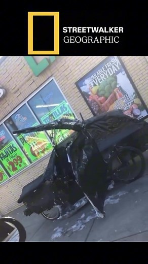 Streetwalker Geographic Part 83 #funnyvideos #comedy #meme #nationalgeographic