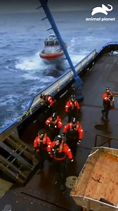 2.3M views · 43K reactions | En plena temporada de pesca, el capitán Sig y su equipo reciben la visita de los guardacostas para una inspección a bordo del Northwestern ⚠️️☠️ #PescaMortal Disfruta el contenido de Discovery en MAX. Suscríbete ahora: https://dub.sh/MAX-AnimalPlanetLa | Animal Planet Latinoamérica | Facebook