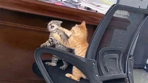 Master Trader Advanced Technical Strategies