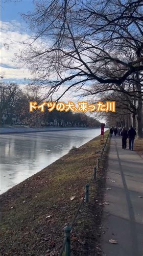 Frozen River 🐕 Dog in Munich #2025 #Winter #Munich #Europe #Sunset #Animal #Frozen #Pond