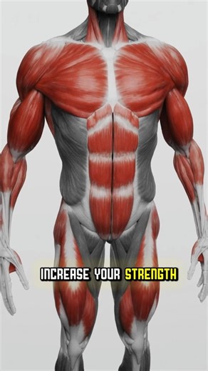 Stop Lifting for 8 Reps (If You Want STRENGTH) 🛑