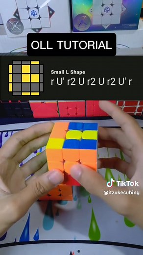Itzuke ⛎ on TikTok