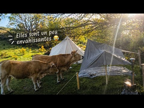 Je me suis transformée en vachère ce matin là 😂 #vienomade