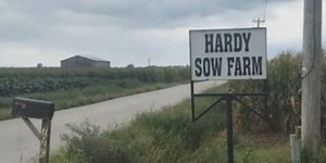 Hog Farmer accused of dumping feces in Green River
