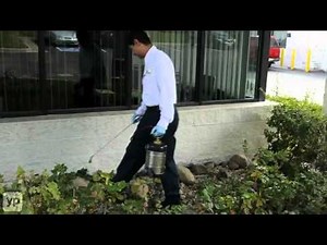 Colorado Pest Management | Denver, Colorado