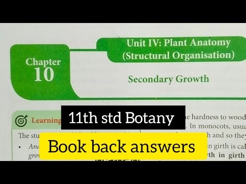 11th std Botany Unit 4 Chapter 10 Secondary growth Book back answers