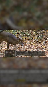 Targeting the 2 biggest bucks on 1000 Acres! Check out the most recent Hunt Breakdown! https://youtu.be/2S4fTPdgDoc?si=FHfKlTsYV0fLtPJA | The Deer Society