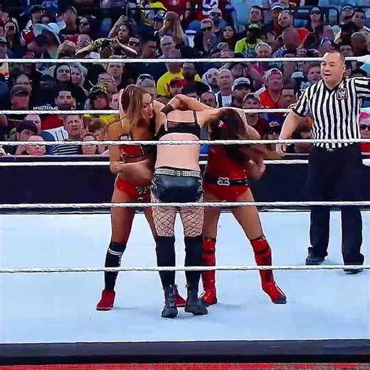 Paige & AJ Lee vs The Bella Twins 💥 WrestleMania Classic Match 🏆 WWE Highlights