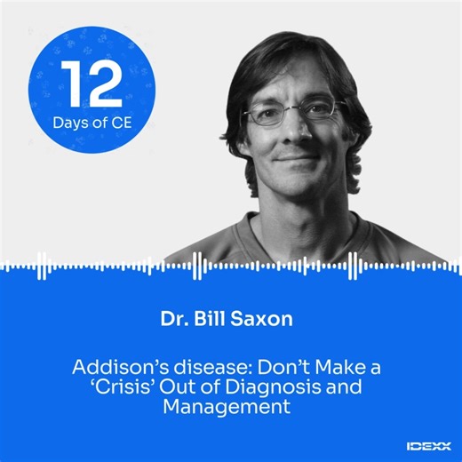 On the tenth day of CE, Dr. Bill Saxon breaks down the 'great imitator' hypoadrenocorticism, offering updated recommendations for diagnosing and managing both forms of the disease. Watch the full course on the IDEXX Learning Center to earn 1 CE credit. ➡️ https://bit.ly/4pwNgjF | IDEXX