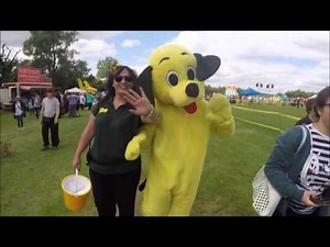 Volunteering at Dogs Trust