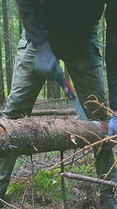 ASMR Building a secret shelter near a fallen tree. #bushcraft #shelter #survivalskills | Alaska Prepper