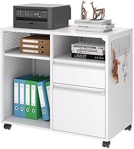 File Cabinet, 2 Drawer Filing Cabinet with Lock, Metal Lateral File Cabinets for Home Office, Rolling Printer Stand with Open Storage Shelf fits Letter/A4 Size Files